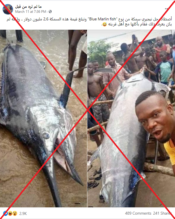 رجل نيجيري اصطاد سمكة تبلغ قيمتها 26 مليوني دولار؟ إليكم الحقيقة